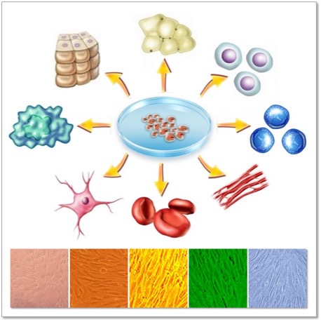 structures and structure determination molecular