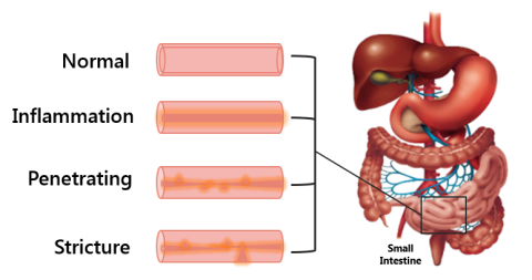 Gi Disease Cells Cell Applications