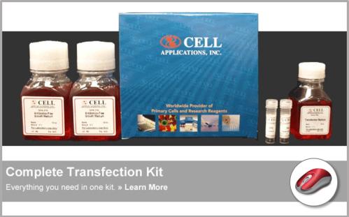 Cytofect™ Transfection Kits | Complete System