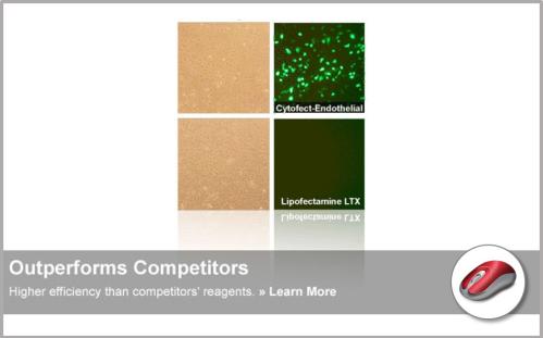 Cytofect™ Transfection Kits | High Quality